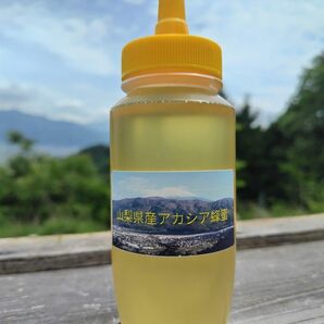 山梨県産　アカシア蜂蜜　300g（トンガリ容器）　1本入り　2023 年5月採り