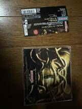 Vader De Progundis 1995年デスメタル日本盤帯付き　morbid angel behemoth decapitated sinister hate krisiun deicide slayer_画像2