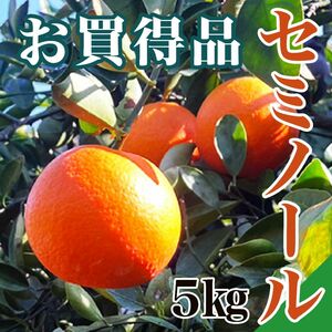 【お買得品】和歌山県有田産　セミノール　訳あり品　有田みかん　爽やかな甘酸っぱさ　果汁たっぷり　低農薬栽培　5㎏　温州みかん