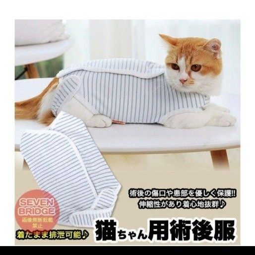 ペット用術後服 Mサイズ 猫 犬 小型犬