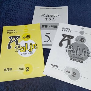 育伸社 ２０２４年度５月 小学６年生Ａ学力テスト 国・算・理・社  送料込み の画像2