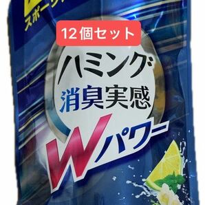 ハミング消臭実感Wパワー スプラッシュシトラスの香り 柔軟剤 詰替用 400ml