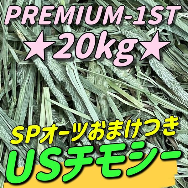 ★20kgチモシー★新着 プレミアム一番刈り うさぎ 小動物用品 ペットフード 牧草 おやつ