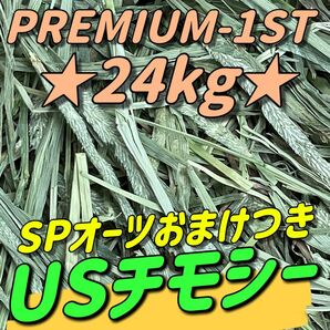 ★24kgチモシー★新着 プレミアム一番刈り うさぎ 小動物用品 ペットフード 牧草 おやつ