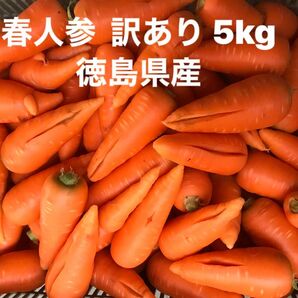 春人参　訳ありW 5kg 徳島県産