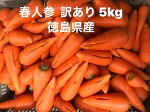 春人参　訳ありW 5kg 徳島県産