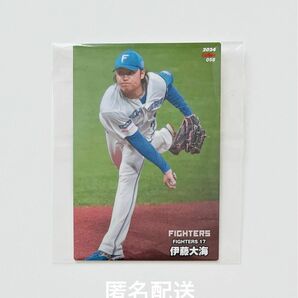 2024 Calbee プロ野球チップス 北海道日本ハムファイターズ 伊藤大海 カルビー レギュラーカード