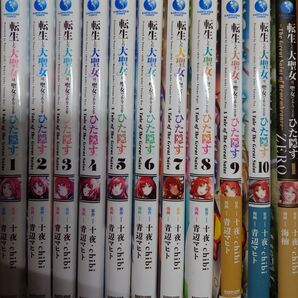 裁断済み全巻 転生した大聖女は、聖女であることをひた隠す 13巻 zero4巻