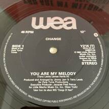 Change - You Are My Melody 12 INCH_画像3