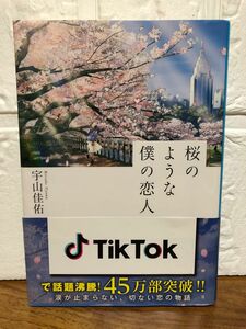 桜のような僕の恋人 （集英社文庫　う２３－２） 宇山佳佑／著