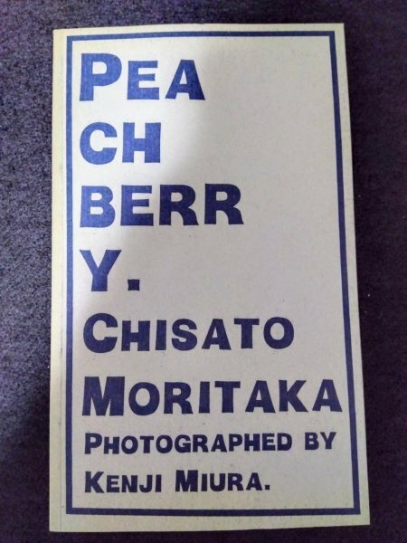 森高千里 写真集 PEACHBERRY. CHISATO MORITAKA/1997年　初版　　歌手　アイドル