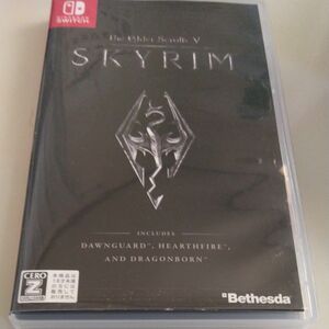 【Switch】 The Elder Scrolls V: Skyrim