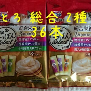 銀のスプーン三ツ星グルメ とろリッチ総合栄養食 2袋 計36本★猫おやつつぶ