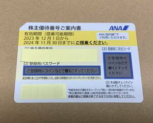 ANA 株主優待券 1枚 2024年11月30日搭乗迄有効