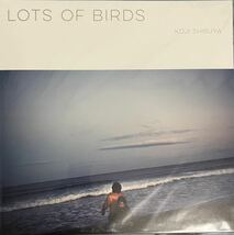 KOJI SHIBUYA / LOTS OF BIRDS アナログLP 初回プレス限定盤 美品 yumbo 澁谷浩次_画像1