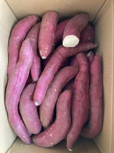 403. bargain sale sweet potato, silk sweet box included 5kg