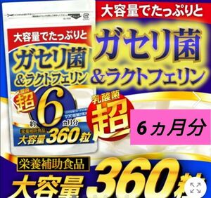 ラクトフェリン　ガセリ菌　乳酸菌　ダイエット　穀物麹　菌活　大容量　6ヵ月分