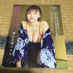 【切り抜き・表紙つき】櫻井音乃 表紙＋10P FRIDAY 2024年5月3日号 送料140円の画像1