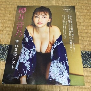 【切り抜き・表紙つき】櫻井音乃　表紙＋10P　FRIDAY　2024年5月3日号　送料140円