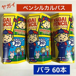 【 送料無料 】ヤガイ　ペンシルカルパス　６０本　激安　カルパス　おやつ　おつまみ