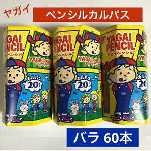 【 送料無料 】ヤガイ　ペンシルカルパス　６０本　激安　カルパス　おやつ　おつまみ