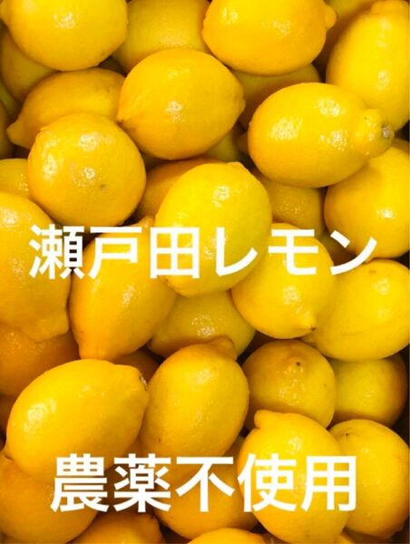 ①国産瀬戸田レモン