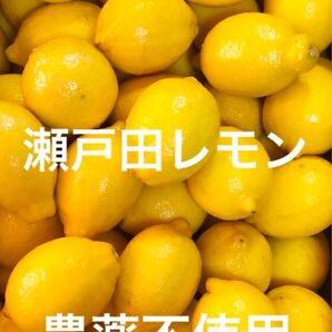 国産瀬戸田レモン