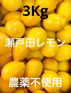 国産瀬戸田レモン3Kg