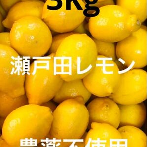 国産瀬戸田レモン3Kg