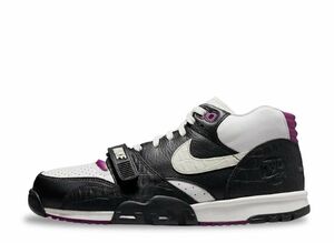 Nike Air Trainer 1 SE "Tokyo 03" 28cm DZ4867-010