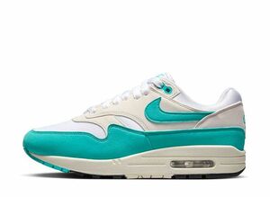 Nike WMNS Air Max 1 "Dusty Cactus" 25.5cm DZ2628-107