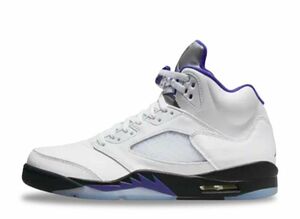 Nike Air Jordan 5 &quot;Dark Concord&quot; 25.5cm DD0587-141