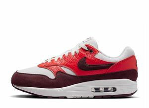 Nike Air Max 1 &quot;Burgundy Crush&quot; 29cm FN6952-102