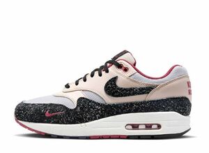 Nike Air Max 1 PRM &quot;Vast Grey and Pearl White&quot; 24.5cm FD5743-200