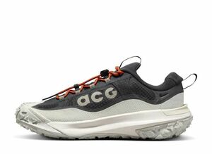 Nike ACG Mounitan Fly 2 Low GORE-TEX &quot;Light Orewood Brown and Medium Ash&quot; 29.5cm HF6245-002