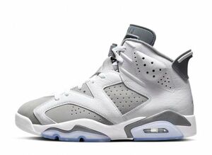 Nike Air Jordan 6 &quot;Cool Grey&quot; 28.5cm CT8529-100