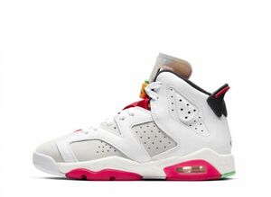 NIKE AIR JORDAN 6 GS &quot;NEUTRAL GREY / HARE&quot; 24.5cm 384665-062