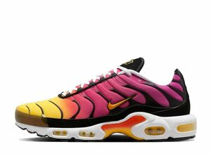 Nike Air Max Plus OG "Gradient"(2023) 30cm DX0755-600