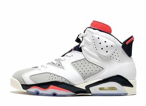 Nike Air Jordan 6 Retro &quot;Tinker&quot; 28cm 384664-104