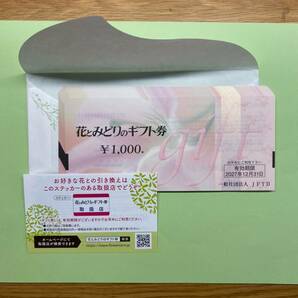 花とみどりのギフト券 ２万円★送料無料（ゆうパケットポストmini）★の画像1