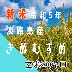 【新米！！令和5年産】淡路島産　きぬむすめ　玄米20キロ　低農薬　産地直送