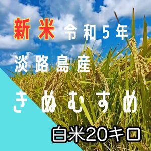 【新米！！令和5年産】淡路島産　きぬむすめ　白米20キロ 低農薬　産地直送　無洗米対応