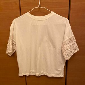 レディース Tシャツ 半袖Tシャツ カットソー 無地 レース シンプル ホワイト