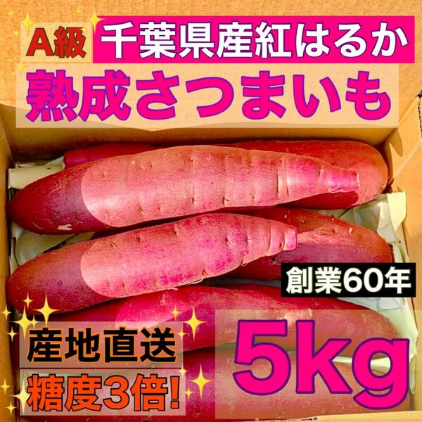 【熟成】さつまいも "A級" 紅はるか 千葉県産 サイズミックス 5kg 土付き 