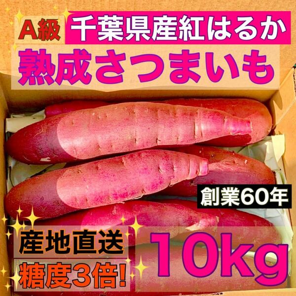 【熟成】さつまいも "A級" 紅はるか 千葉県産 サイズミックス 10kg 土付き 