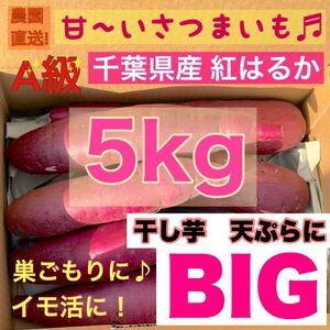 Bigサイズ 【熟成】さつまいも 紅はるか 5kg 土付き (配送料こみ）