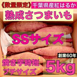 限定セール　熟成 さつまいも 5kg SSサイズ　千葉県産 紅はるか　土つき