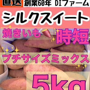 期間限定　セール　熟成さつまいも シルクスイート 5kg (箱こみ) 土つき　プチサイズ 千葉県産 2023年もの　DIfarm