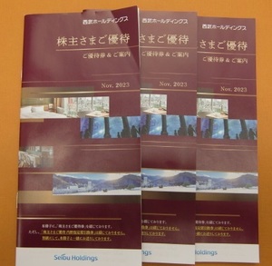 西武ホールディングス株主優待券 冊子 3冊　