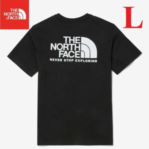 海外限定！ THE NORTH FACE ノースフェイス Tシャツ 半袖 ビックロゴ メンズ レディース 黒/L K315B